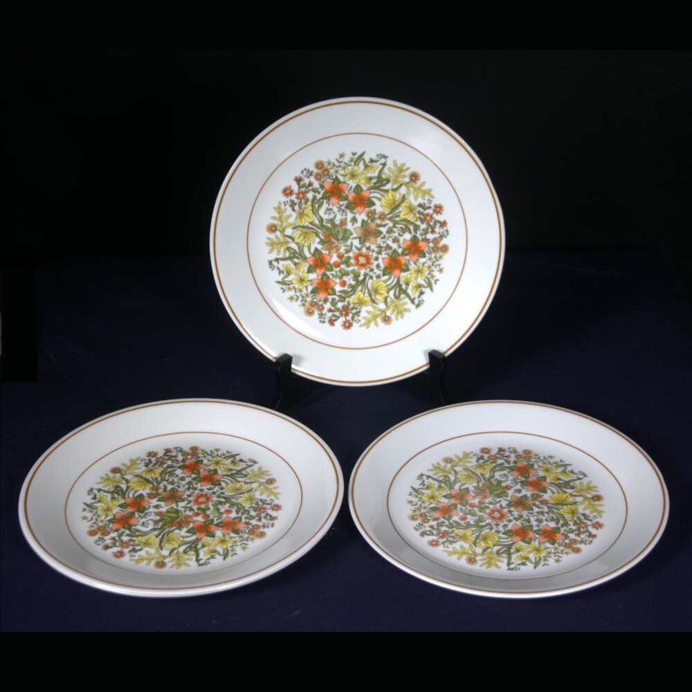 Four Vintage Corningware Corelle Indian Summer Dinner Plates